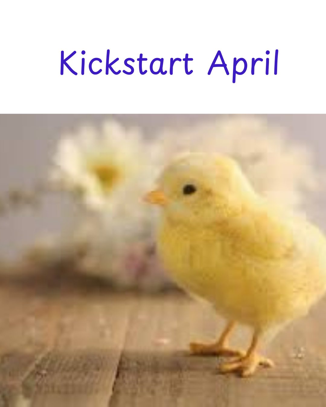 April Workout Subscription Program